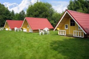 Acampando en el Roble de Bronce