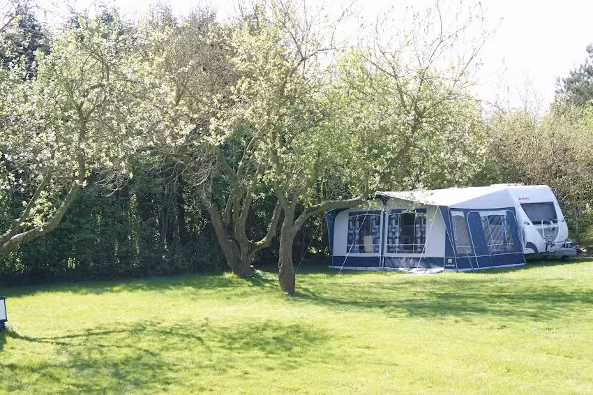 Camping De Druiverank