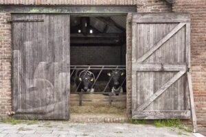 Camping de Kijfakker