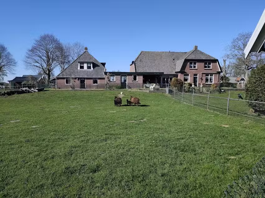 Camping de Schaapskooi