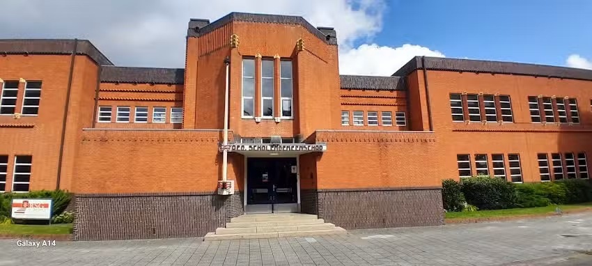 Camping The Strange Duck