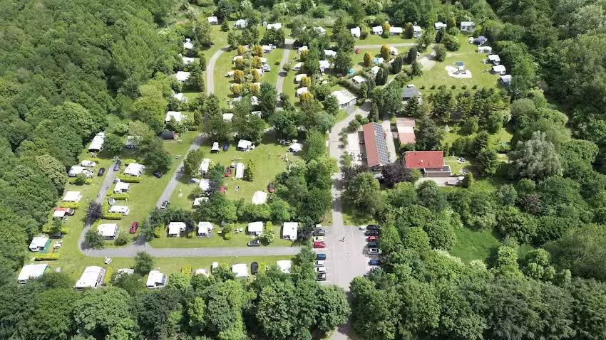 Acampando en el Bosque Verde