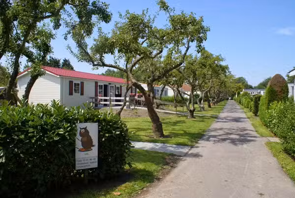 Camping in de Bongerd