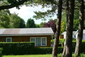 Camping Kruiningergors beactive