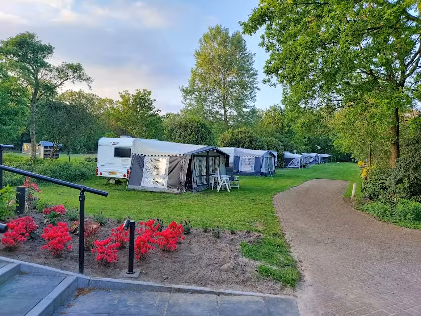 Camping Madeliefje