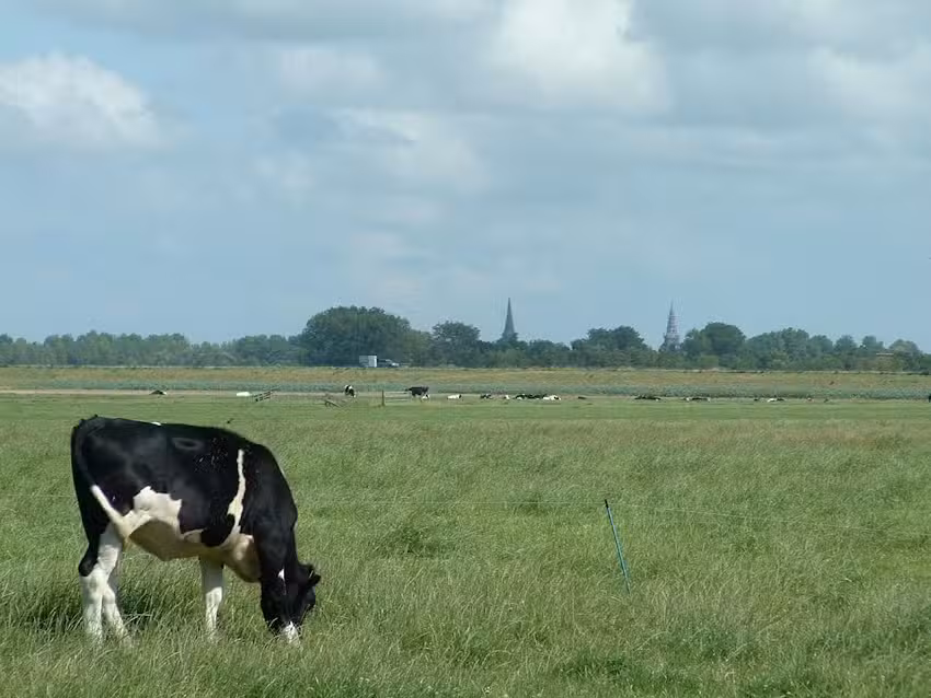 Camping Uit den Haak