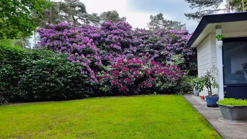 Camping South Ginkel