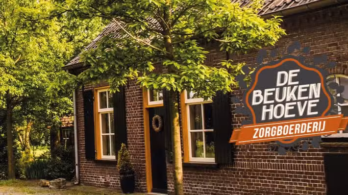 La ferme thérapeutique de Beukenhoeve, un mini-camping et une chambre d&rsquo;hôtes