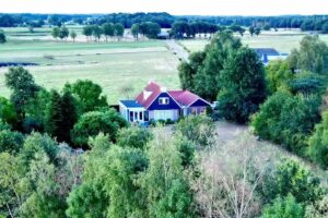 Le grand pic épeiche