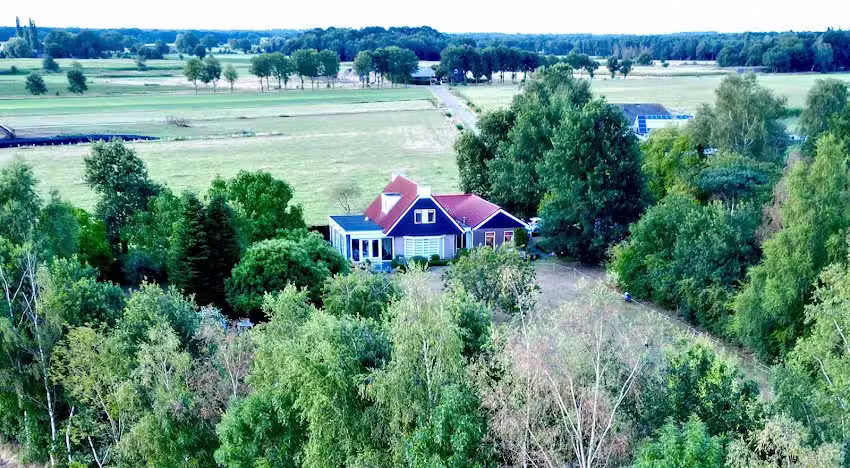 Le grand pic épeiche