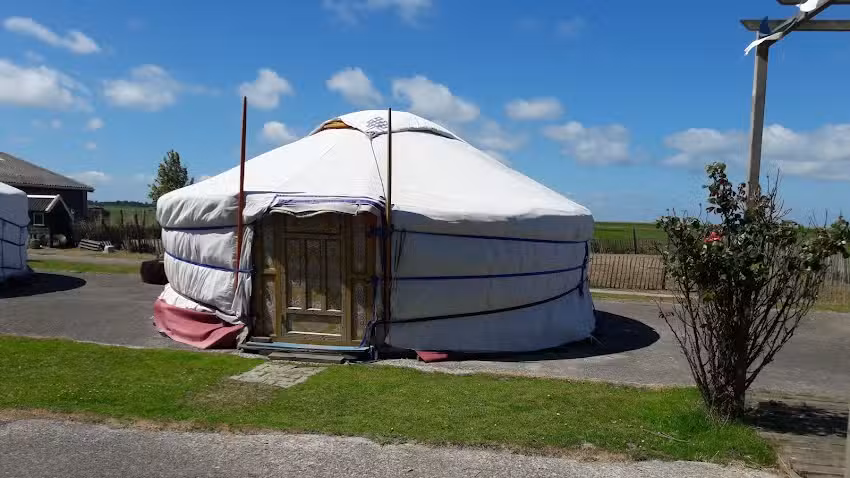 Die Ringelblume 1876