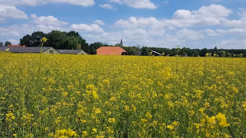 Die Getreiderepublik