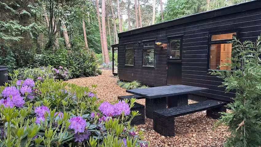 Los Señores de Norg