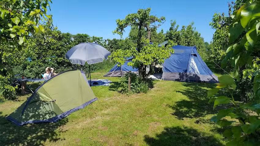 Der Campinggarten