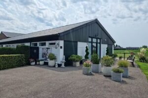 The Cat Farm – Hotel exclusivo para gatos