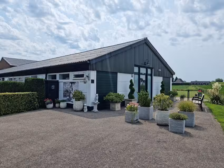 De Kattenhoeve – Exclusief Kattenhotel