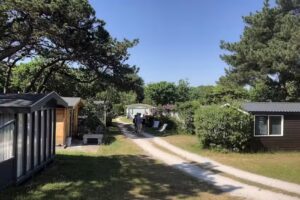 Le paradis des chevaux