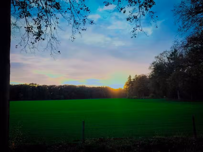 L&rsquo;école de Frieswijk