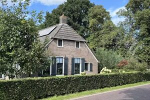 Los apartamentos Owl Tree