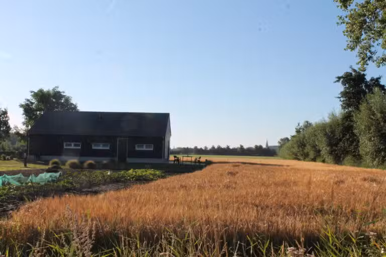 La grange du champ Gemert