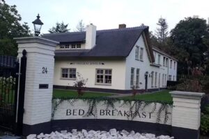 The cheerful wood mouse