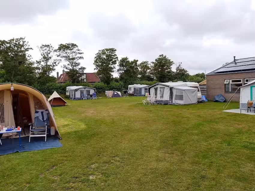 Die fröhliche Schwalbe