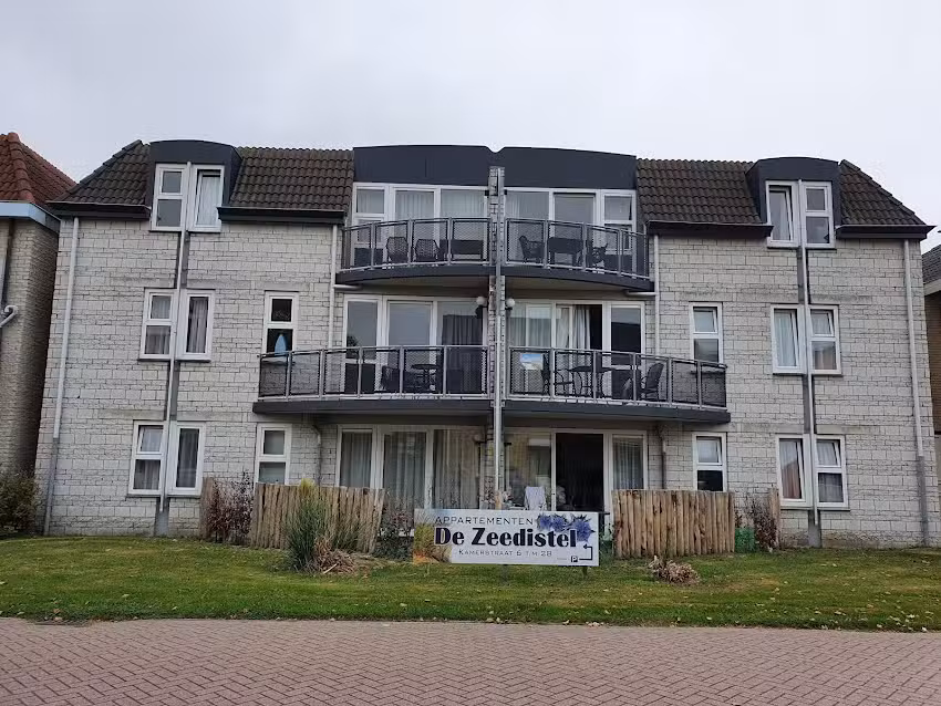 El cardo marino Texel