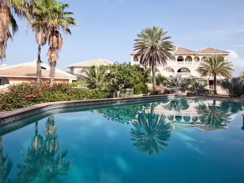 Delfine springen im Curacao Ocean Resort