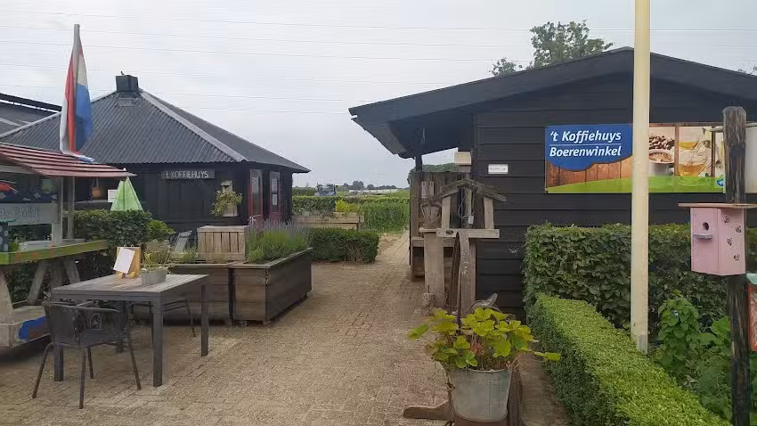 Soñando con el granjero