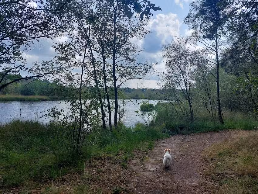 Egypte 6 plek voor heling, inspiratie & co-creatie