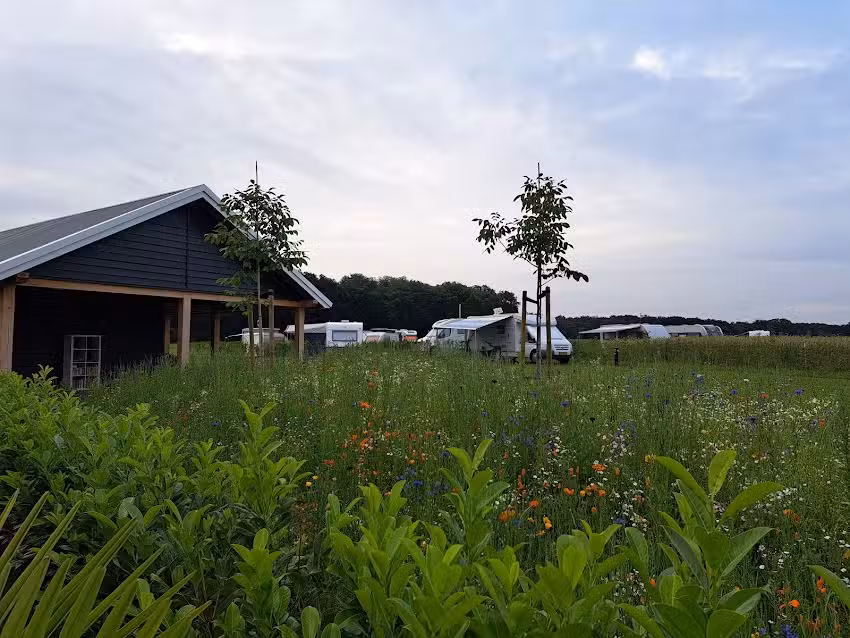 Esch camping Kaampert