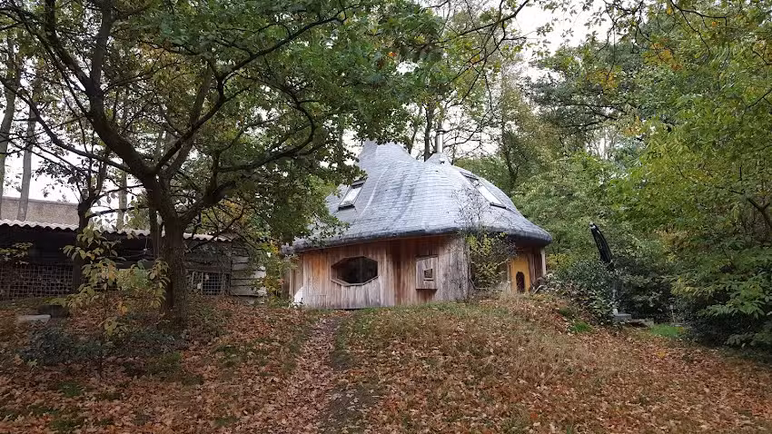 Evenhuis Musarrindill