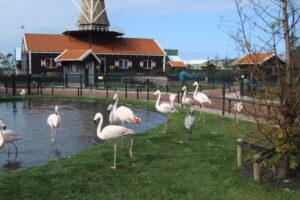 Ferienwohnung 186 Am Nordhollandkanal