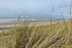 Ferienwohnung Nordholland – Familia Käufer