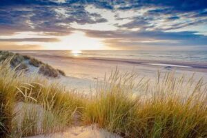 Alquileres vacacionales en Gold Coast