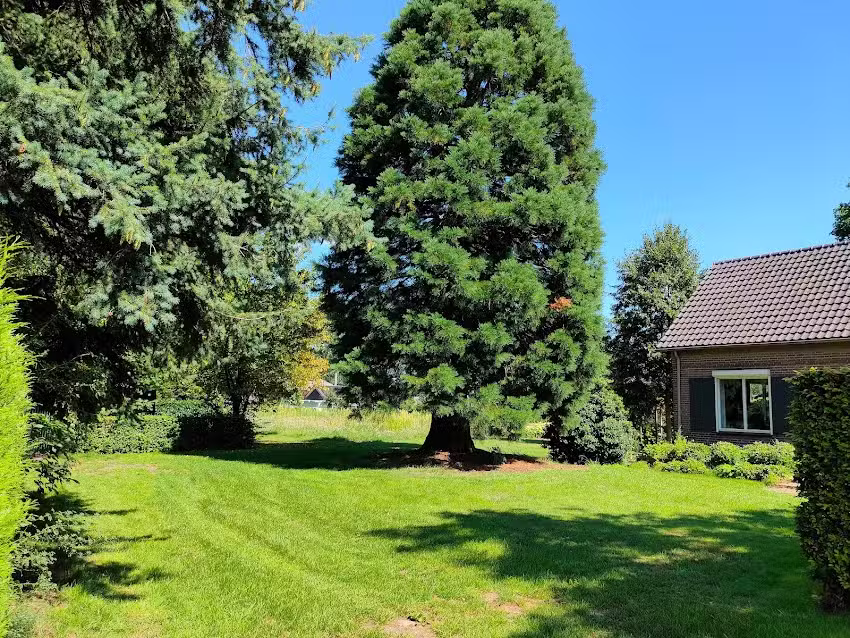 Hébergement de groupe De Prins