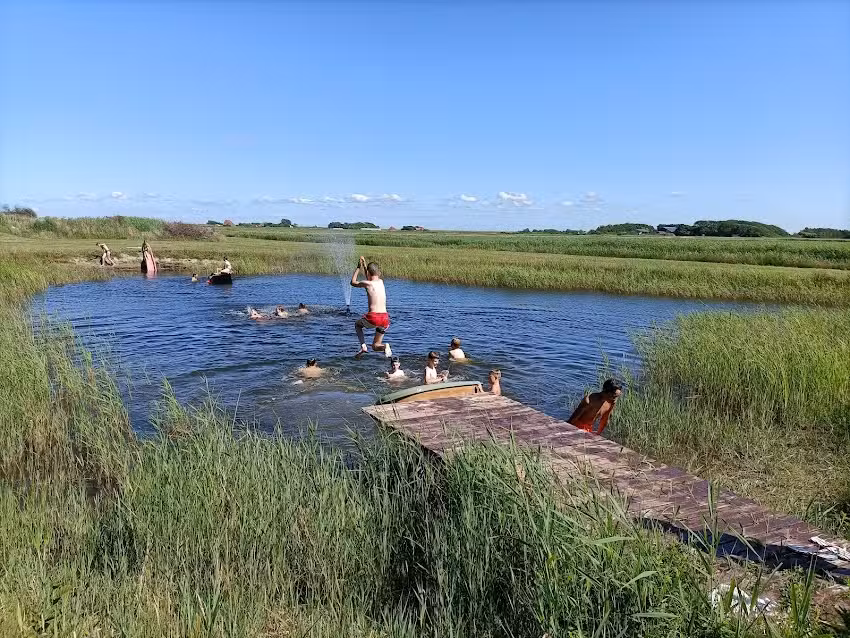 Hébergement de groupe à Jonkersbergen, Texel