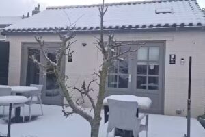 Casa de huéspedes Noorderzon