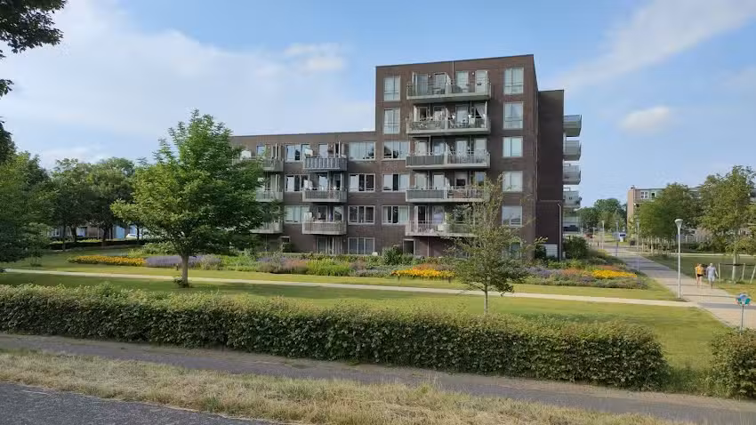 Deportes acuáticos Haddock