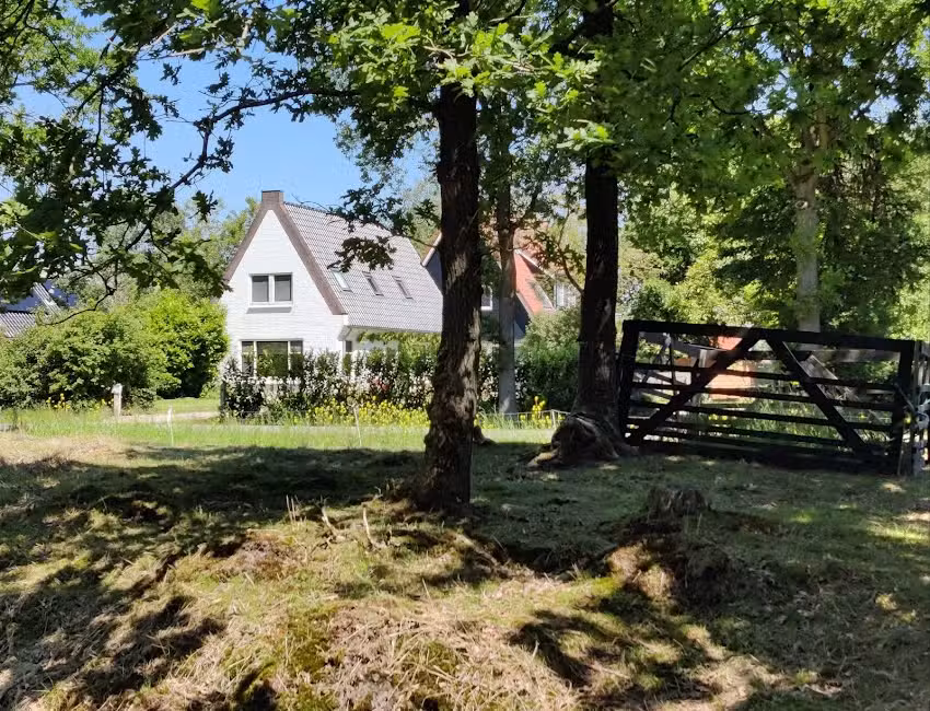 Alegría del corazón ❤️Retiro y práctica LymfeTouch