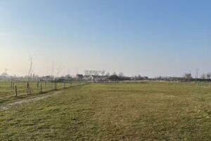 Hestar Husid, la casa de los caballos