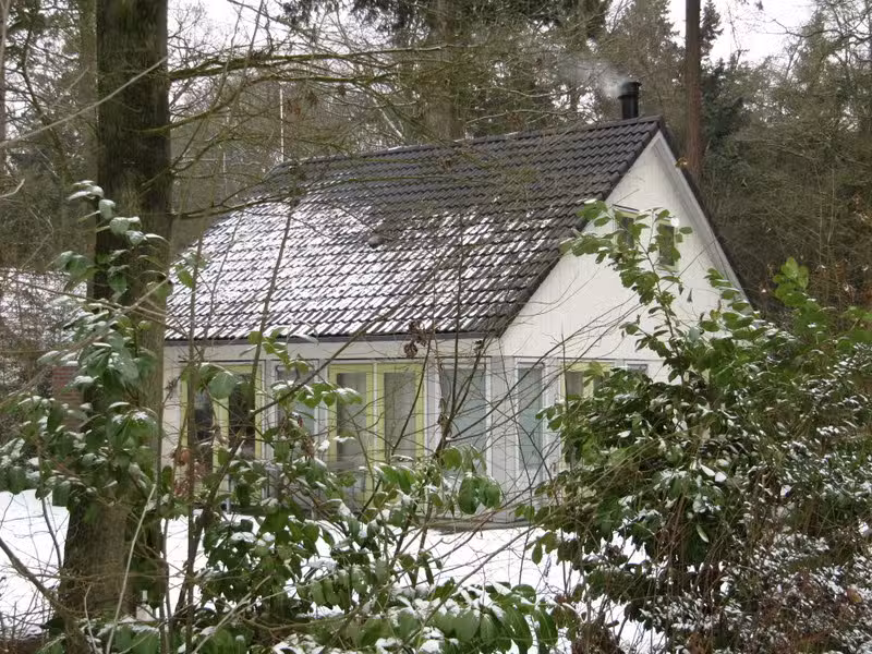 El Bosque de la Fuente – Stern