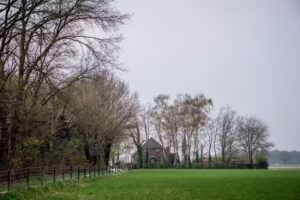 Der Rasen des Nachbarn