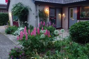 Le Nid du Coucou – Nieuwegein