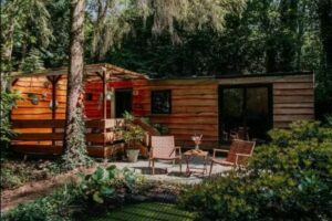 Het Wilde Roodborstje