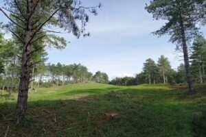 La casa de vacaciones Seahorse Noordwijkerhout