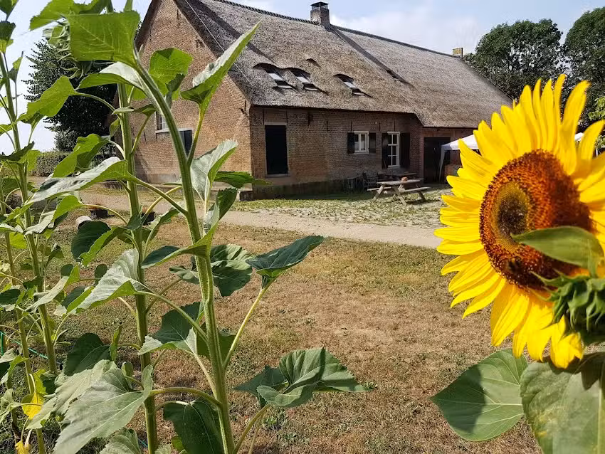 Hildernisse Bauernhof