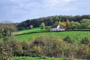 Tribunal de Bommerig