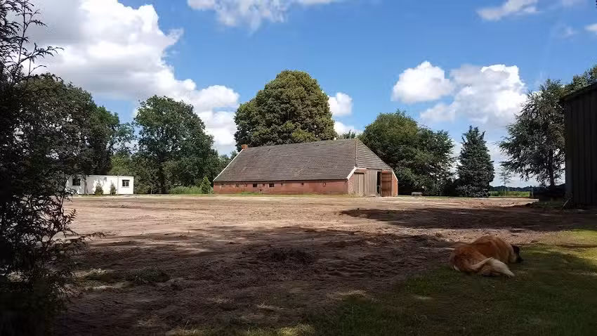 Hôtel pour chiens Faunatuurlijk – Parc de vacances pour chiens et centre de bien-être canin