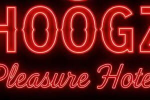 Hoogz Pleasure hotel